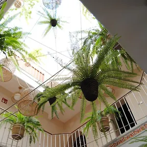  Гостевой дом Cordoba